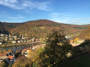 IMG_5297