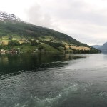 IMG_8288